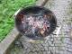 997_aIMG_1097.JPG